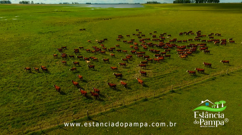 DOS EÓLICOS VIRA P FAZENDA_Moment.00_02_42_19.Quadro193_151bf4ac1072c3c1c38c1b219d6685fb70a26a38.jpg